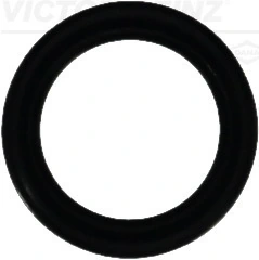 Seal Ring